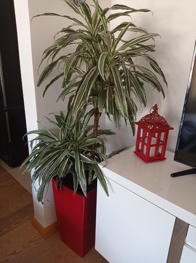 Red Lux Apartment Будва Екстериор снимка